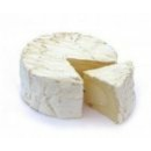 Gouda